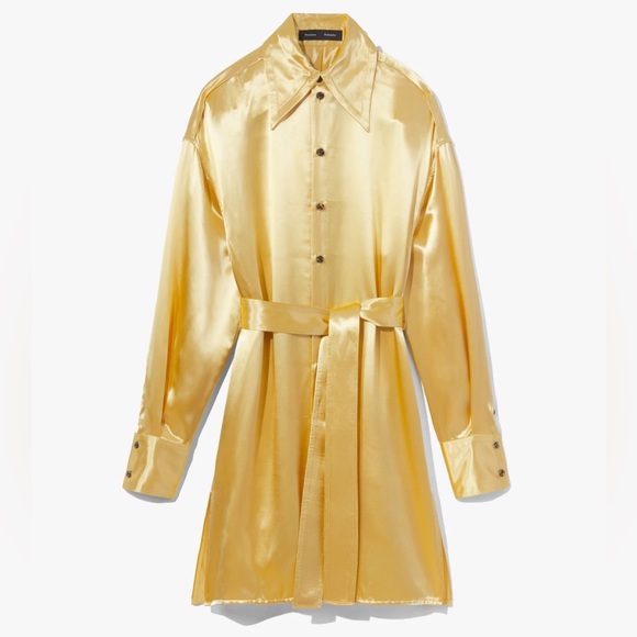 Proenza Schouler Glacé Shirtdress in Butter - Picture 4 of 6
